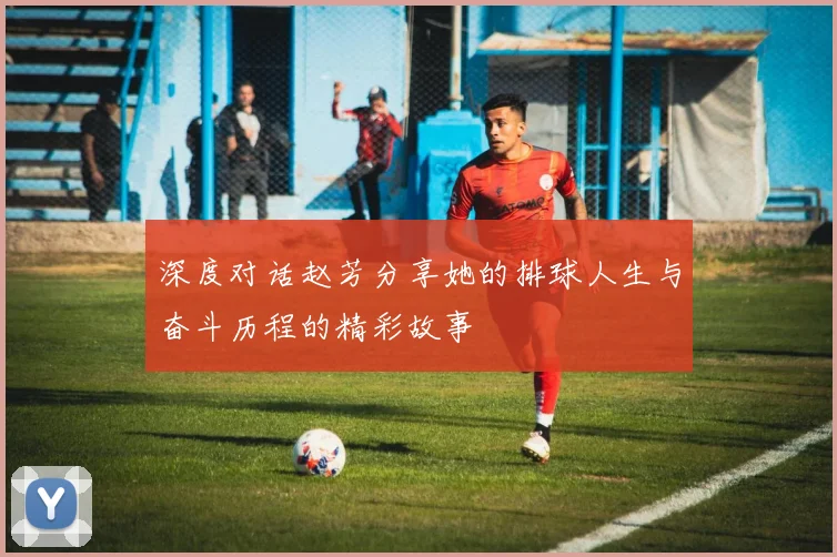 深度对话赵芳分享她的排球人生与奋斗历程的精彩故事
