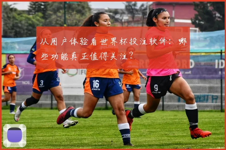 从用户体验看世界杯投注软件：哪些功能真正值得关注？