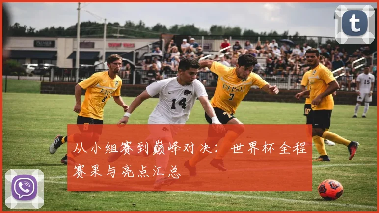 从小组赛到巅峰对决：世界杯全程赛果与亮点汇总
