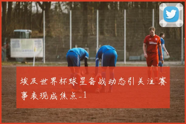 埃及世界杯球星备战动态引关注 赛事表现成焦点_1