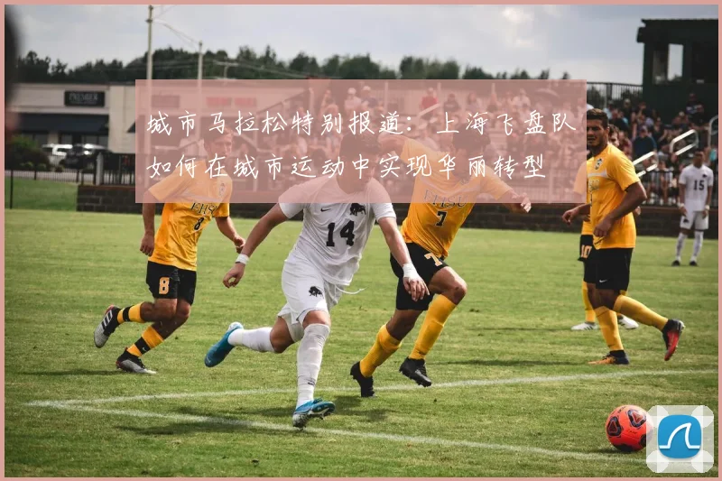 城市马拉松特别报道：上海飞盘队如何在城市运动中实现华丽转型